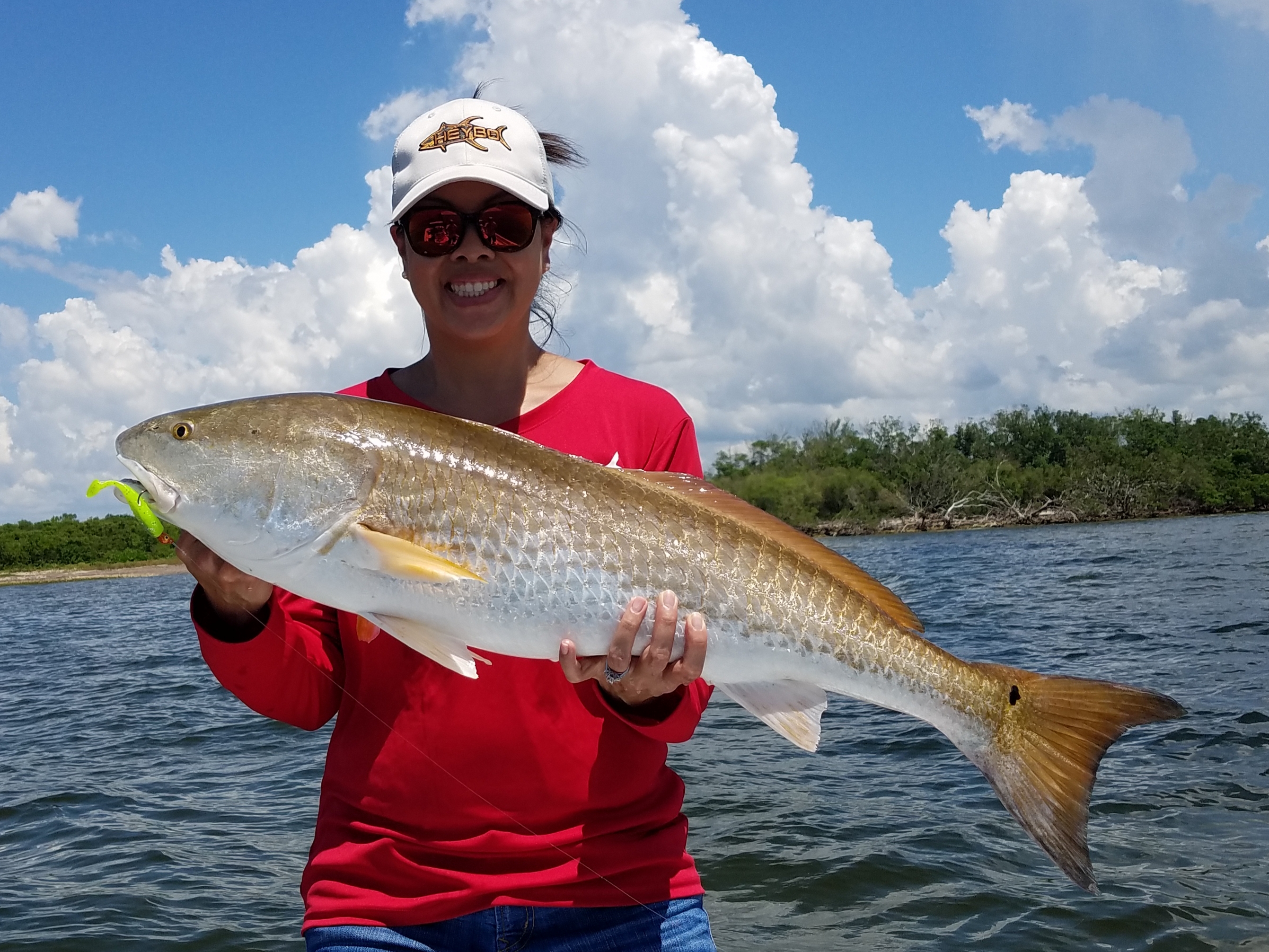 red tide update - red tide not affecting tampa bay fishing