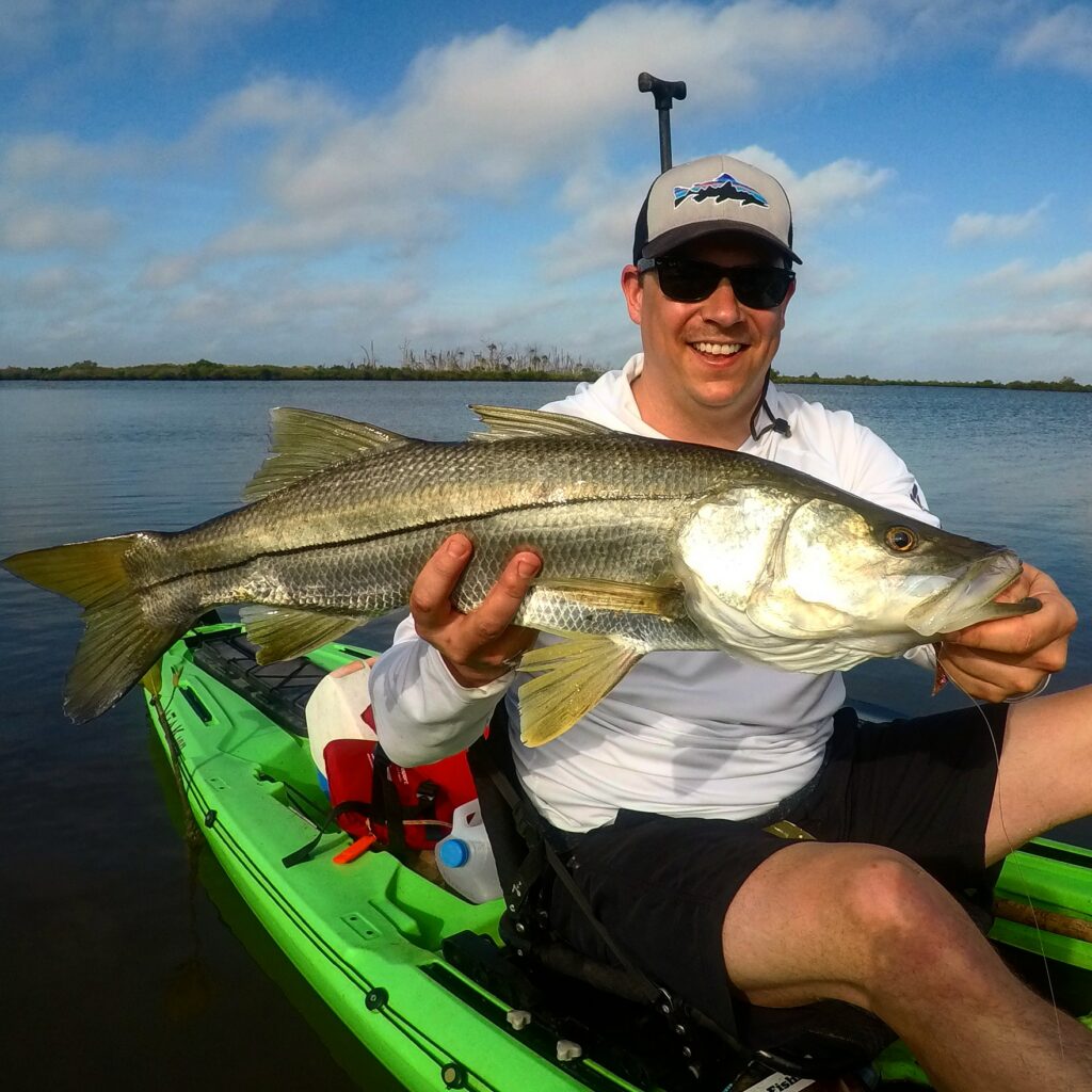 Snook are abundant when nature coast kayak fishing