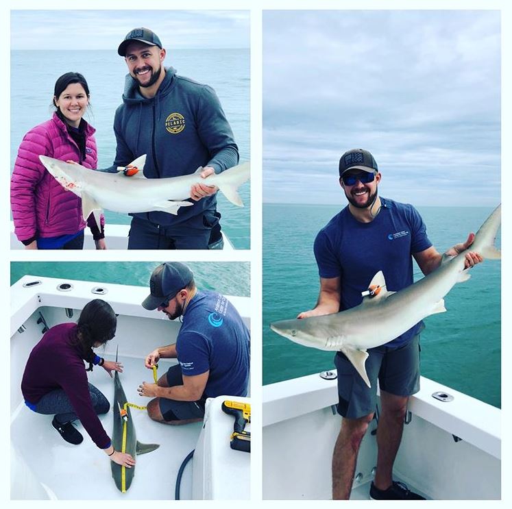 Shark Fishing on Florida's East Coast