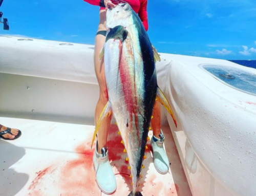 Capt. Greg’s Space Coast Fishing Report – August 2021