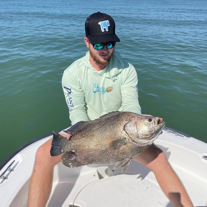 Captains Skylar's Mad Beach Fishing Report – August 2022 – Old