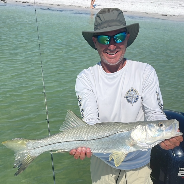snook caught on Tampa Bay