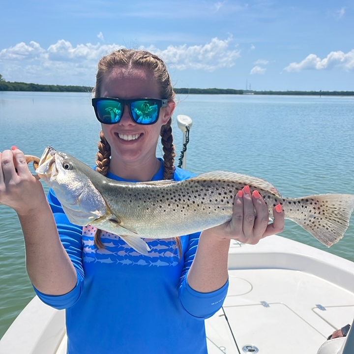 florida speckled trout