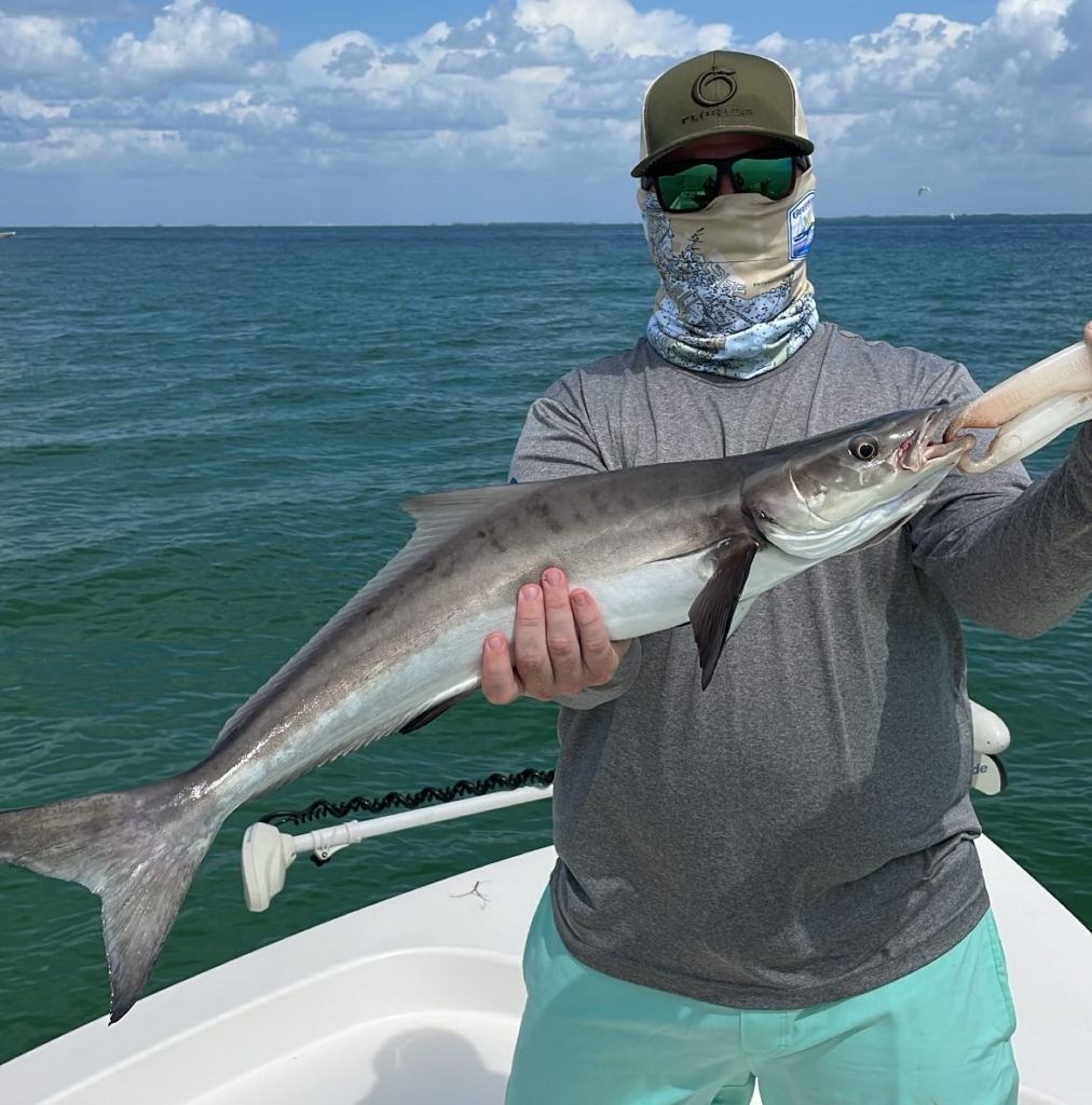First Coast anglers can enjoy catching cold-weather cobia this time of year